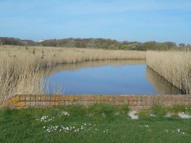 Caravan Aan Zee Arnani Middelkerke Exterior foto