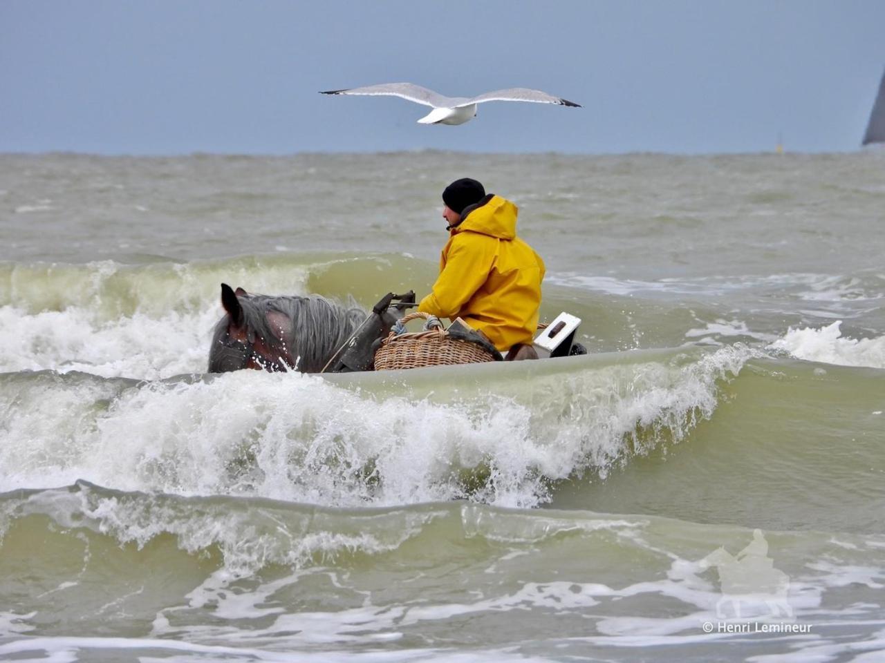 Caravan Aan Zee Arnani Middelkerke Exterior foto